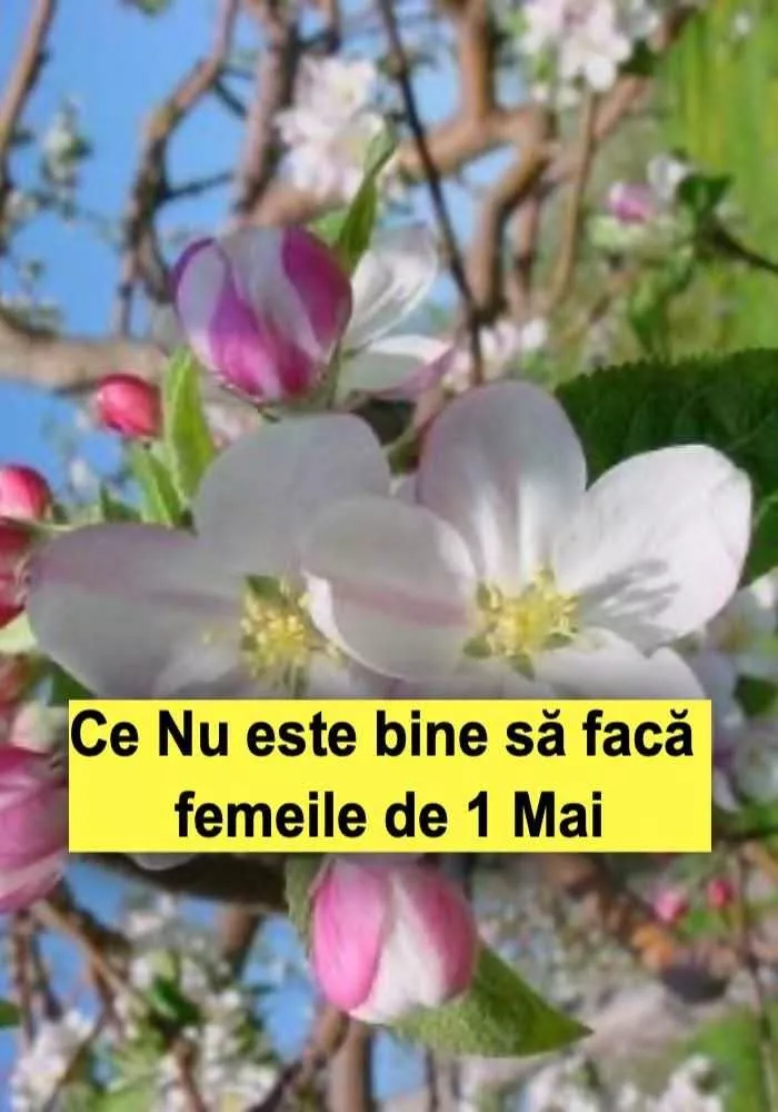 Obiceiuri de 1 Mai – Tradiții vechi pentru sănătate, belșug și protecție împotriva răului