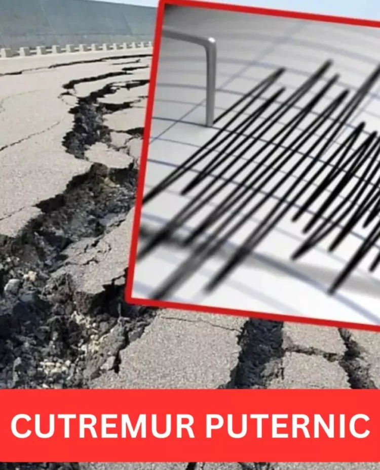 Cutremur cu magnitudinea 5,2 în sudul Californiei. Zeci de milioane de oameni au simțit seismul