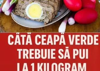 Câtă ceapă verde pui în drob? Sfaturi utile pentru un drob delicios și aromat de Paște