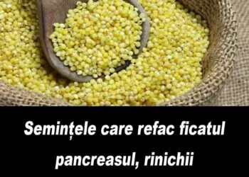 Meiul – superalimentul subestimat: beneficii și idei de preparare