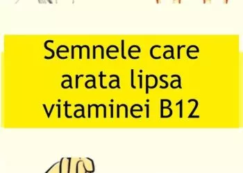 Consumă aceste patru alimente pentru a-ți crește și restabili nivelul de vitamina B12