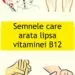 Consumă aceste patru alimente pentru a-ți crește și restabili nivelul de vitamina B12