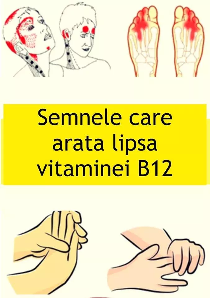 Consumă aceste patru alimente pentru a-ți crește și restabili nivelul de vitamina B12