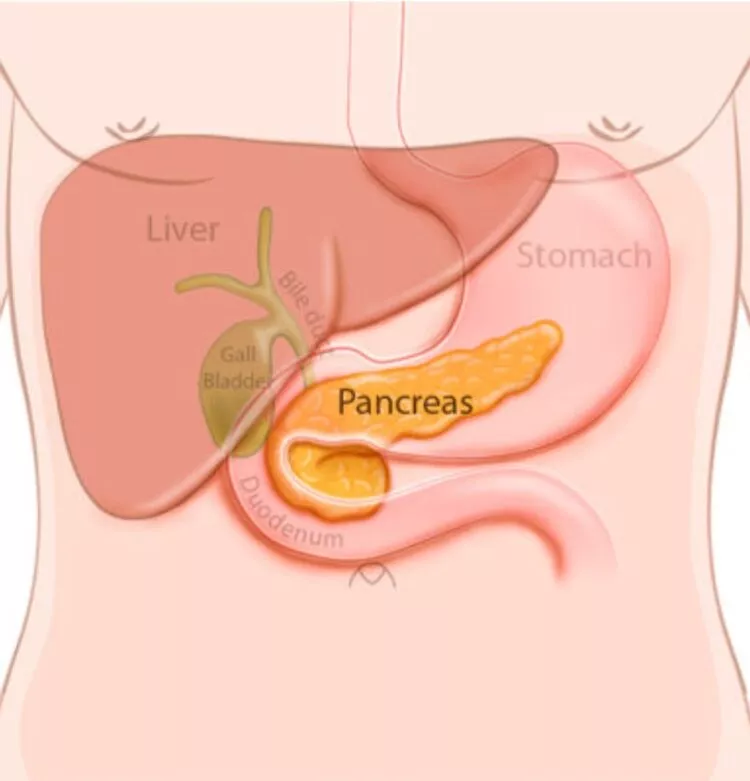 Ce legătură poate exista între nevoia de a urina noaptea și sănătatea pancreasului