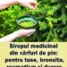 Sirop din vârfuri de pin – rețetă tradițională cu beneficii pentru imunitate și sănătatea căilor respiratorii