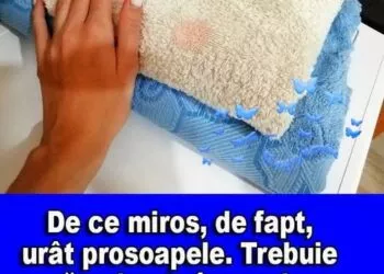 Cât de des trebuie spălate prosoapele? Sfaturi esențiale pentru igienă și durabilitate