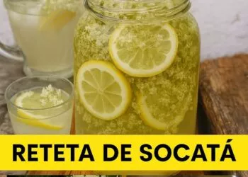 Socata de casă – băutura verii cu beneficii pentru sănătate. Rețetă, trucuri și efecte terapeutice