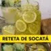 Socata de casă – băutura verii cu beneficii pentru sănătate. Rețetă, trucuri și efecte terapeutice