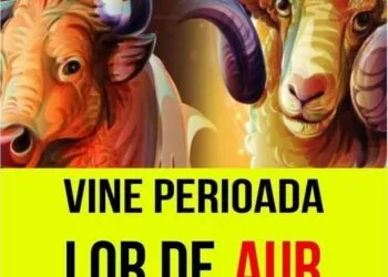 Zodiile care își schimbă destinul în vara 2025: ce aduce Universul pentru Leu, Săgetător, Vărsător, Taur și Rac
