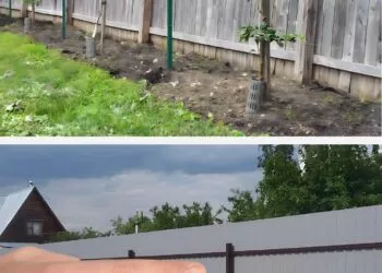 Gardul dintre vecini: ce spune legea și cum eviți conflictele de proprietate