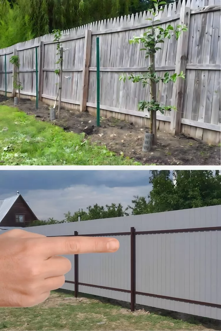 Gardul dintre vecini: ce spune legea și cum eviți conflictele de proprietate