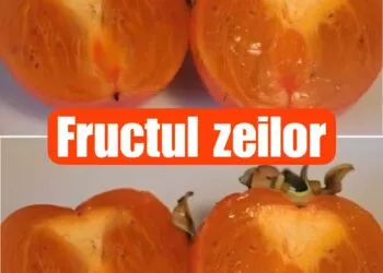 Kaki (Persimmon) – Fructul exotic care întărește imunitatea, protejează inima și combate oboseala