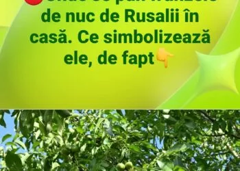Ce semnifică frunza de nuc de Rusalii și unde se pune în casă pentru protecție și belșug