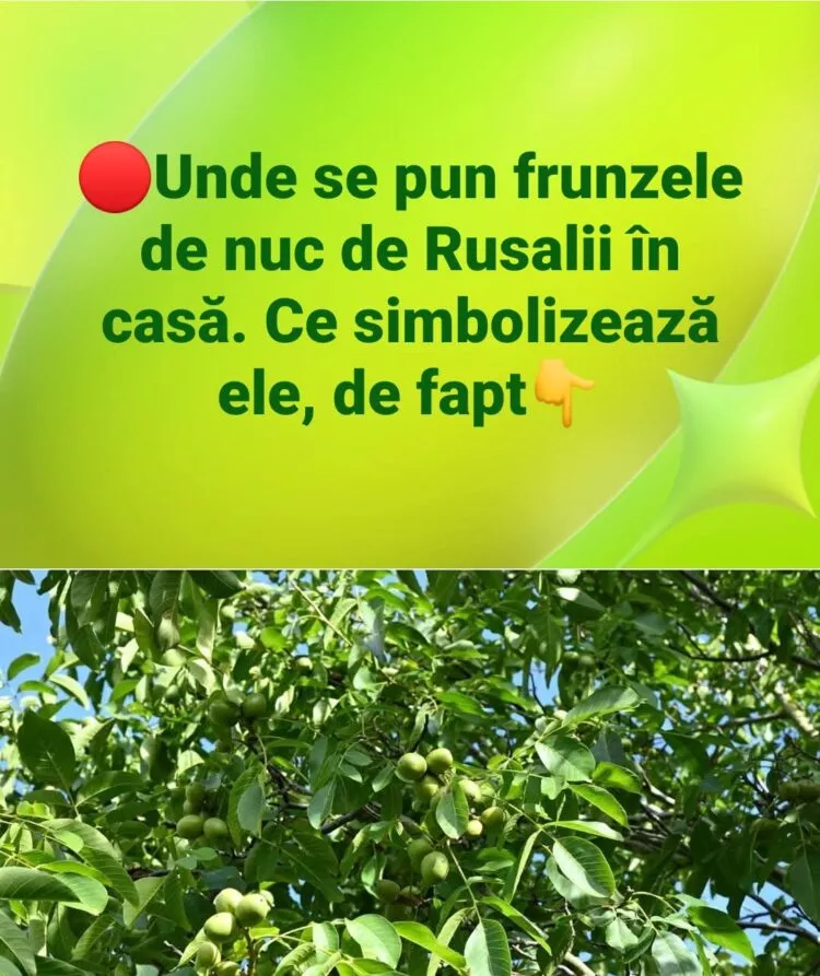 Ce semnifică frunza de nuc de Rusalii și unde se pune în casă pentru protecție și belșug