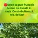 Ce semnifică frunza de nuc de Rusalii și unde se pune în casă pentru protecție și belșug