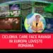 Furtuni violente și caniculă extremă în România: Coduri galben și portocaliu emise de ANM. Ciclonul din Europa lovește și țara noastră