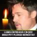Mama lui Brad Pitt a murit la 84 de ani. Actorul, profund afectat: „Aveam nevoie de un nou început în viață”