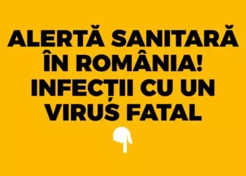 INSP: Opt cazuri de infecție cu virusul West Nile confirmate în România. Specialiștii cer măsuri stricte de protecție