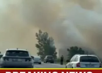 Incendiu de vegetație pe Autostrada A2. Trafic deviat pentru șoferii care se întorc spre București