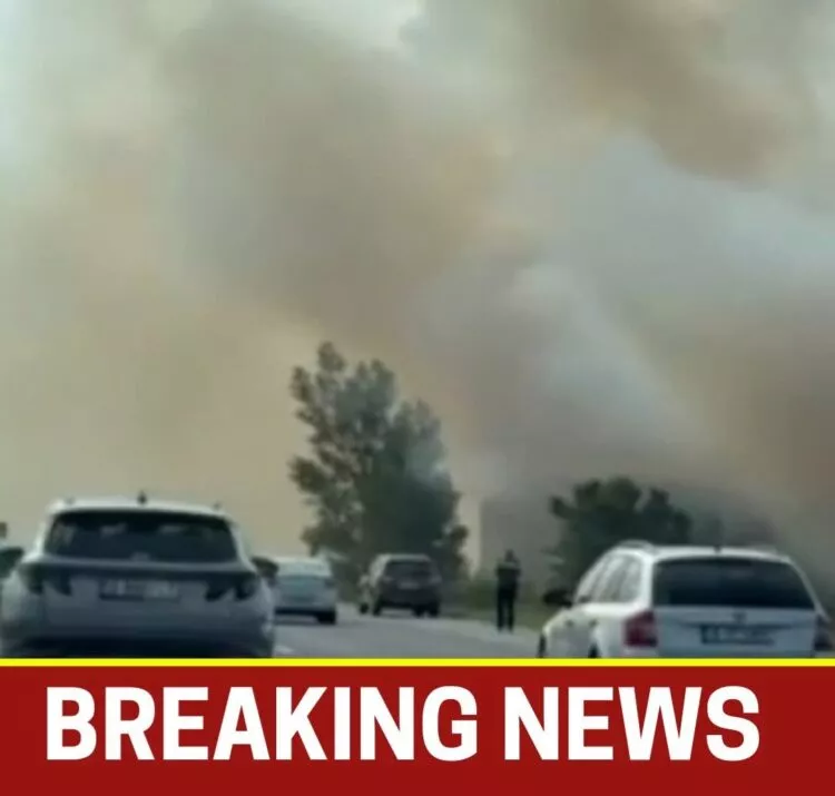 Incendiu de vegetație pe Autostrada A2. Trafic deviat pentru șoferii care se întorc spre București