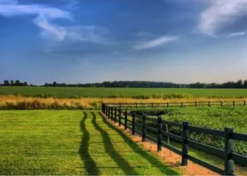 Cum poți deveni proprietar al unui teren fără acte: explicații despre uzucapiune și obligații legale