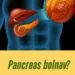 Pancreasul: rol, funcții și semne care indică probleme de sănătate