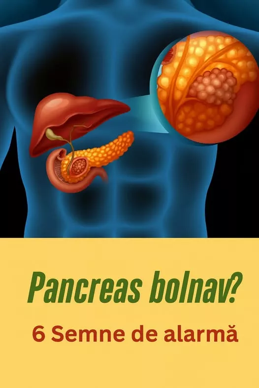 Pancreasul: rol, funcții și semne care indică probleme de sănătate