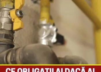 Scurgerile de Gaz: Ghidul de Siguranță și Obligativitatea Detectoarelor După Tragediile Recente