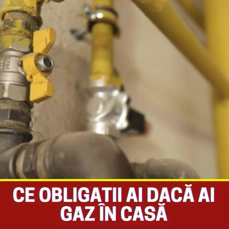 Scurgerile de Gaz: Ghidul de Siguranță și Obligativitatea Detectoarelor După Tragediile Recente