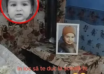 Tragedie în Mărășești: un copil de 3 ani, ucis de o haită de câini. Comunitatea e în stare de șoc