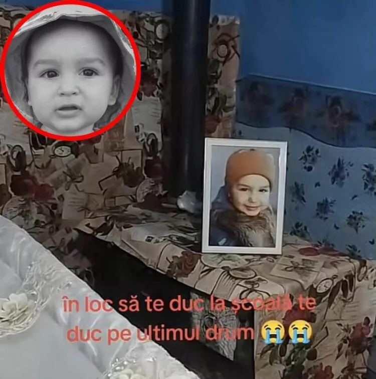 Tragedie în Mărășești: un copil de 3 ani, ucis de o haită de câini. Comunitatea e în stare de șoc