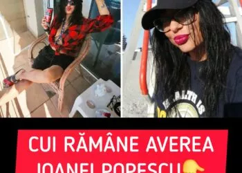 Cine va moșteni averea Ioanei Popescu