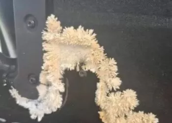 Descoperire Șocantă Sub Bancheta Mașinii: Avertisment Despre Pericole Ascunse