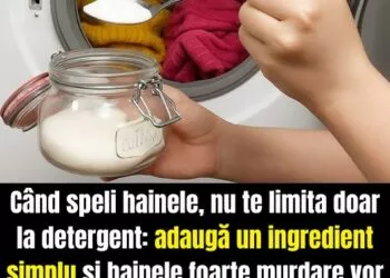 Trucul simplu pentru haine curate și fără mirosuri