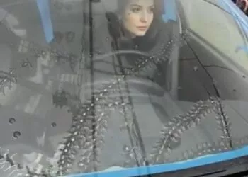 Misterul Urmelor de Pe Parbriz: