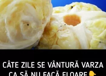 Câte zile se vântură varza murată ca să nu facă floare – secretul unei murături perfecte pentru iarnă
