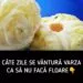 Câte zile se vântură varza murată ca să nu facă floare – secretul unei murături perfecte pentru iarnă