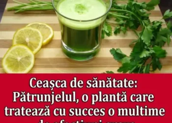 Cum se face corect detoxifierea de mercur: metode naturale și alimente care ajută organismul
