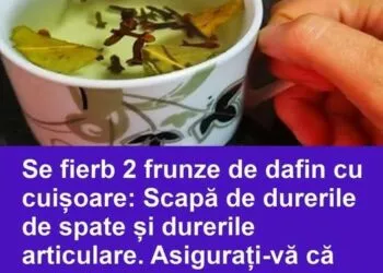 Beneficiile frunzelor de dafin și ale cuișoarelor