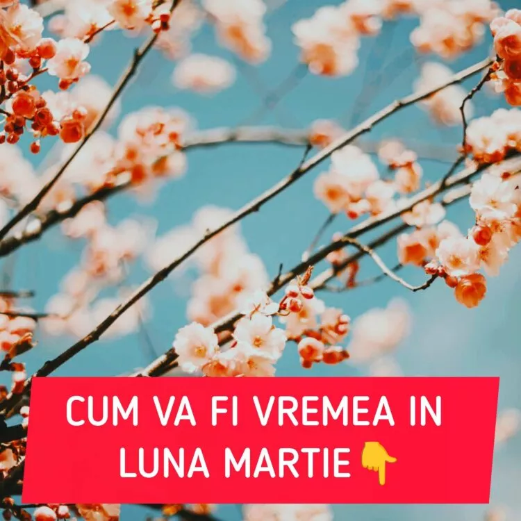 Prognoza meteo pentru martie 2026: temperaturi peste normal și un început de lună fără ploi