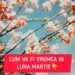 Prognoza meteo pentru martie 2026: temperaturi peste normal și un început de lună fără ploi