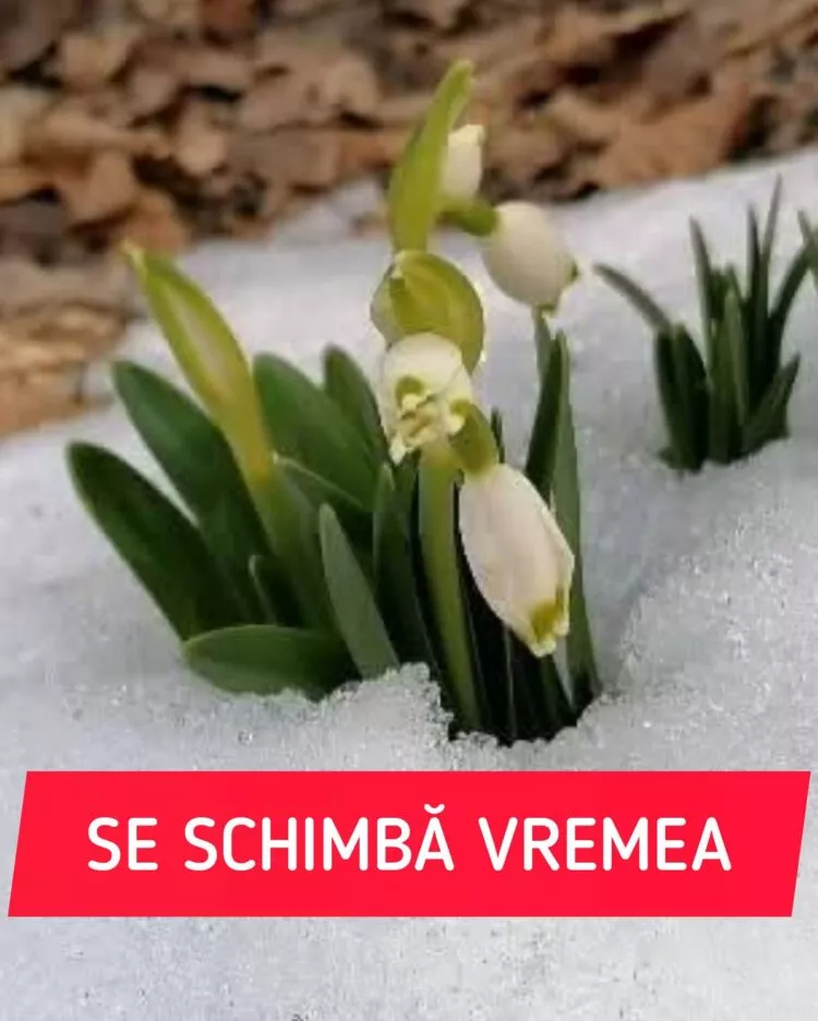 Vremea se schimbă radical în România: frig, ploi și chiar ninsori până de Paște