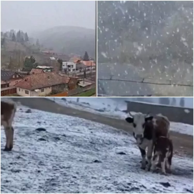 Temperaturi extreme pentru final de aprilie