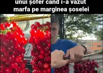 Un băiat din Iași a devenit viral după ce a vândut cireșe „în buchete” la marginea drumului