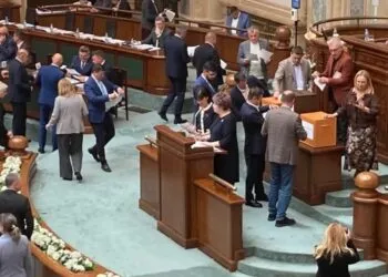 Noua conducere a Institutului Cultural Român, votată în Senat