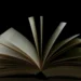O romancieră din Africa de Sud a scris 371 de cărți în 20 de luni cu ajutorul inteligenței artificiale. A vndut peste un milion de cărți