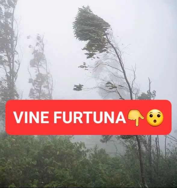 Vremea se răcește în România. Ploi, vânt și ninsori la munte, în timp ce furtuna Felicia traversează Europa
