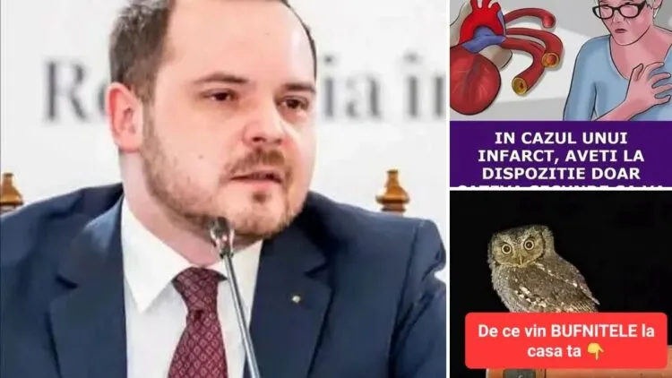 Poveștile zilei, duminică, 25 octombrie. Bufnița de lângă casă și lunile muncite care nu apar la pensie