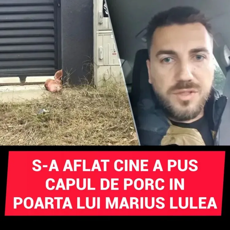 Ce reacție a avut partidul