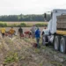 Afacere construită pe munca neplătită a muncitorilor români, în Italia: Li se cereau 100 de euro pentru o pătură și o pernă și plăteau taxe să meargă la cumpărături